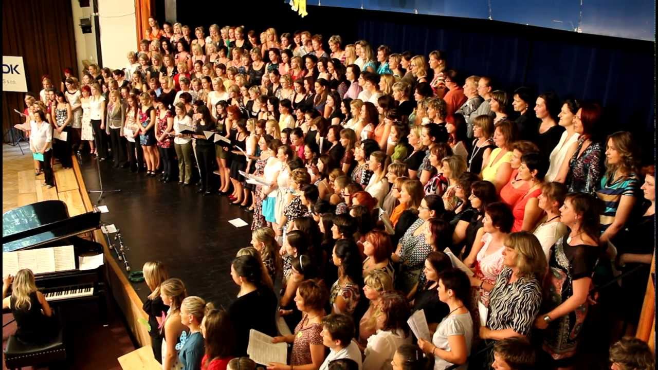 Všichni Motýli Šumperk - Brusič Mráz - Miroslav Raichl