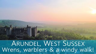 Arundel and the River Arun, West Sussex; wrens, warblers & a windy walk!