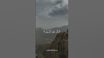 ﴿وأن ليس للإنسان إلا ما سعى ﴾ #قران_كريم #سورة_النجم #ياسر_الدوسري #راحة_نفسية #ارح_قلبك