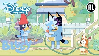 Bluey | 💙 Gezonde Gewoonten | Disney Channel NL