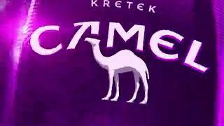 Camel Option Purple - Trademark