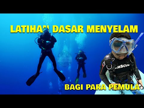 Teknik Dasar Menyelam Bagi Pemula serta Peralatan Menyelam Scuba dan Snorkeling