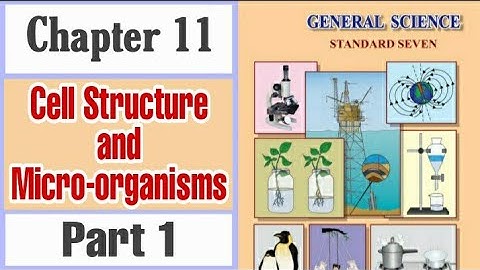 7th std science 11 Cell Structure and Microorganisms l Part 1 l explanation in Marathi