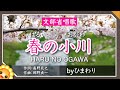 春の小川(♬はるのおがわはサラサラいくよ)byひまわり🌻歌詞付き【日本の歌百選】Spring stream