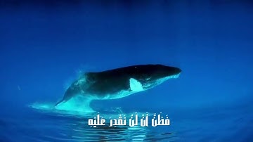 وذا النون إذ ذهب مغاضبآ للقارئ إسلام صبحي |HD