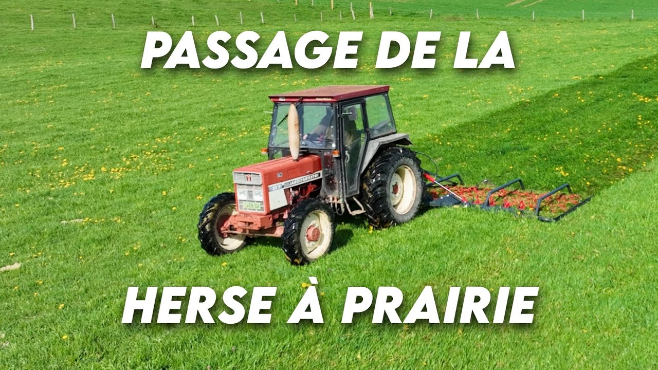 PASSAGE DE LA HERSE À PRAIRIE | IH 633 🚜