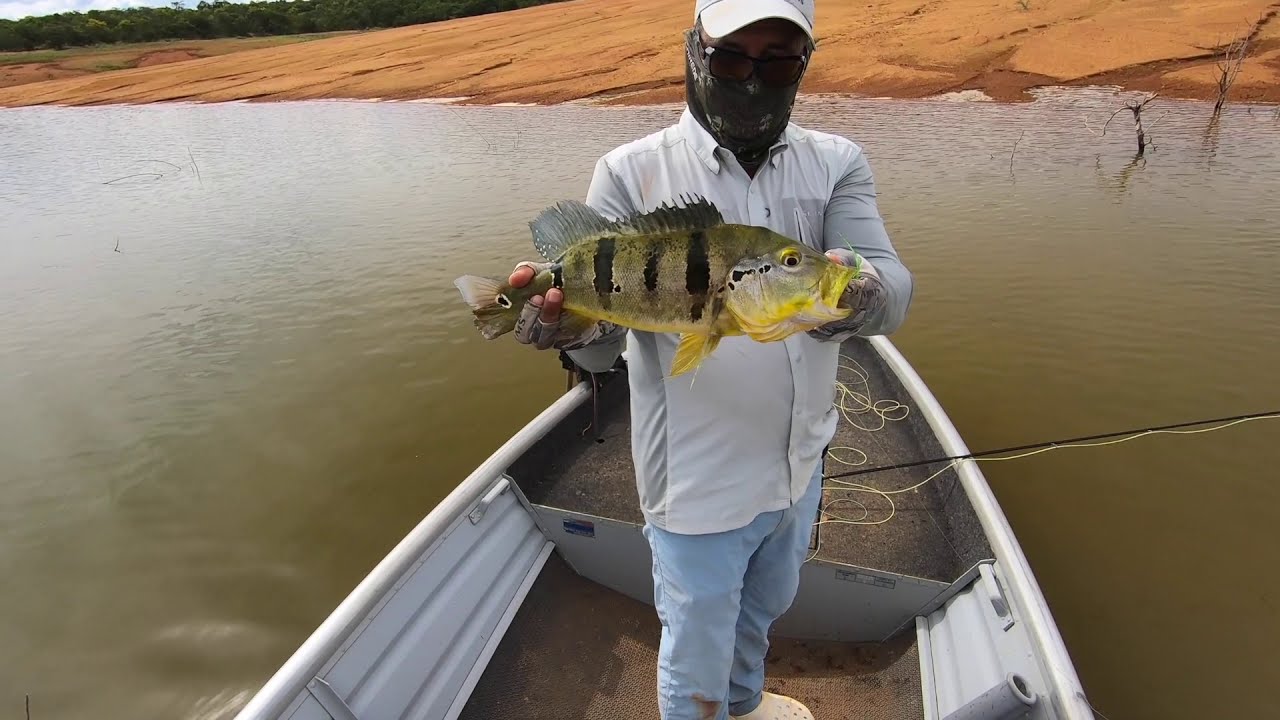 Evitando quebrar vara de fly com peixe forte