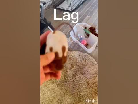 When you lag be like - YouTube