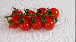 Banch of Cherry Tomatoes Falls Into the Water. Slow Motion