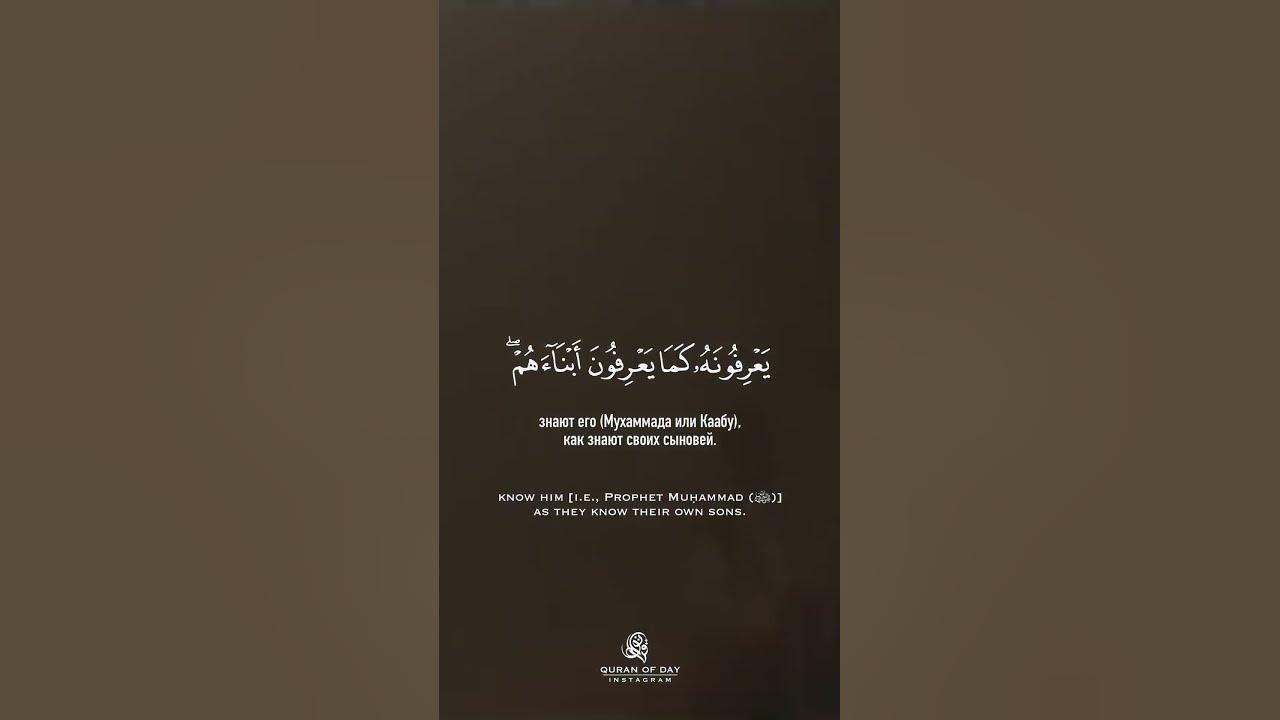 Чудеса корана в цифрах. Сура каф. 146 аят. 146 аят. Коран сура аятуль курси.