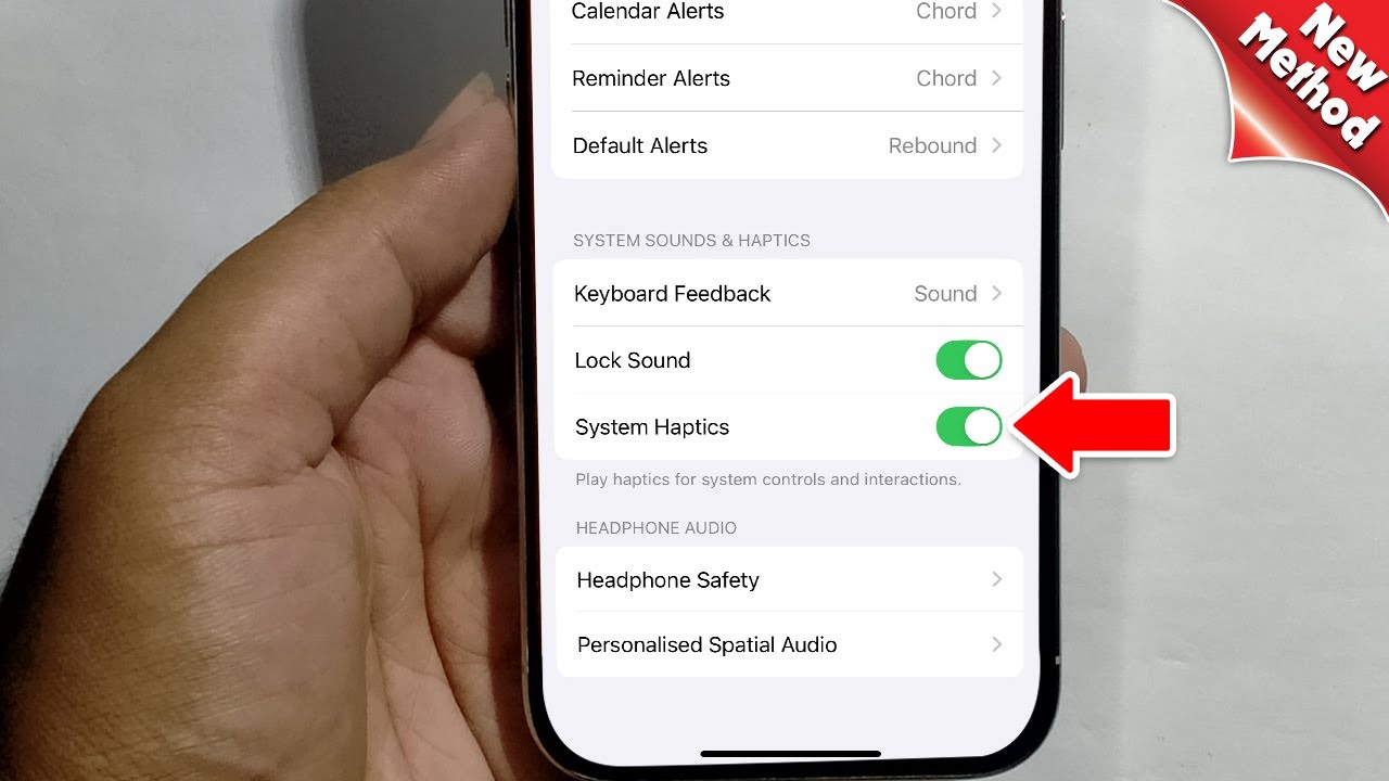 Iphone 15 pro max how to enable disable system haptics or vibration