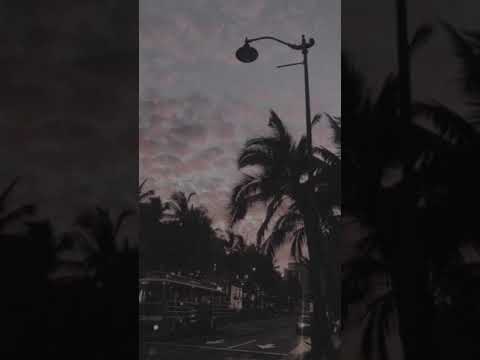 คำอวยพร - SPF [ cover ] 