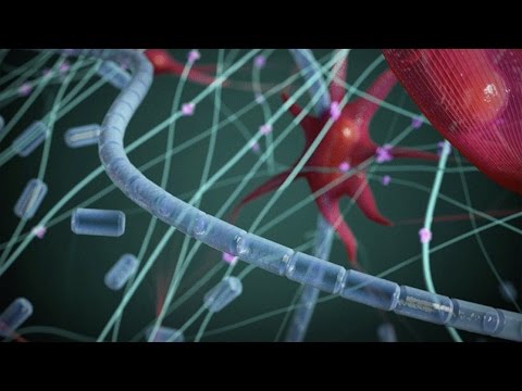 Video: Aplicarea Biorezonanței în Medicină