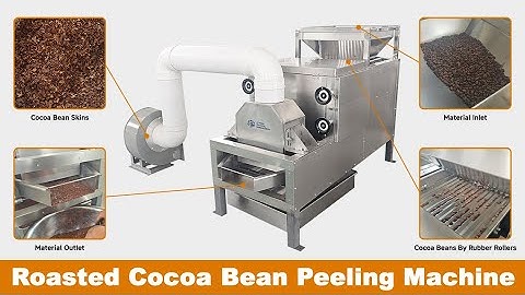 Roasted Cocoa Bean Peeling Machine|Cocoa Beans Peeling Crushing Machine|Cocoa Bean Peeling Machine