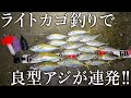 【ライトカゴ釣りの決定版】遠投して尺アジまで釣れる!サビキ竿でも大遠投できる必須アイテムを紹介