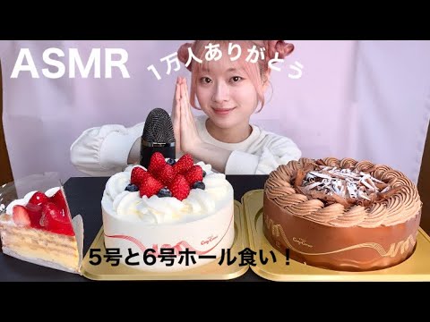 【ASMR】チャンネル登録者数1万人ありがとうのホールケーキ２つとナポレオンパイ大食い！　Sponge cake  생크림 케익