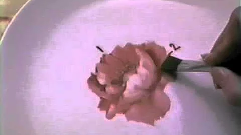 China Painting Tutorial - Poppies - Barbara Duncan