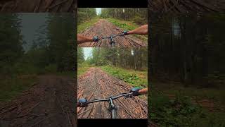 Приключения велосипедные 90км 🍁🍂🍁 #брянск #outleap #mtb #велопокатушки #велосипед #велопоездка