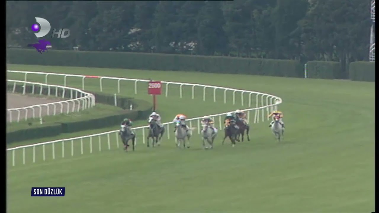 16 MAYIS 1998 İSTANBUL 5. KOŞU ( TANSEL )