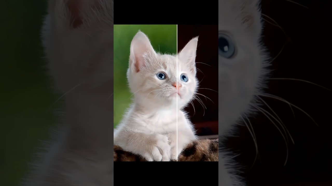 Perfect background change in 1 minute  | Photoshop tips & tricks 