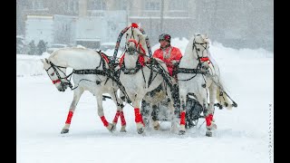 Русская экипажная езда и русская тройка. Выпуск 1.