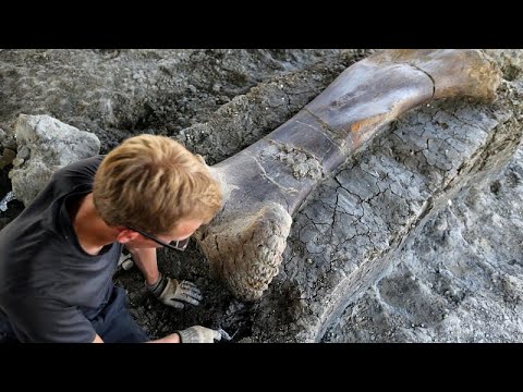 Video: V Okolju Puščave Gobi So Našli Veliko Okostje Dinozavra - Alternativni Pogled