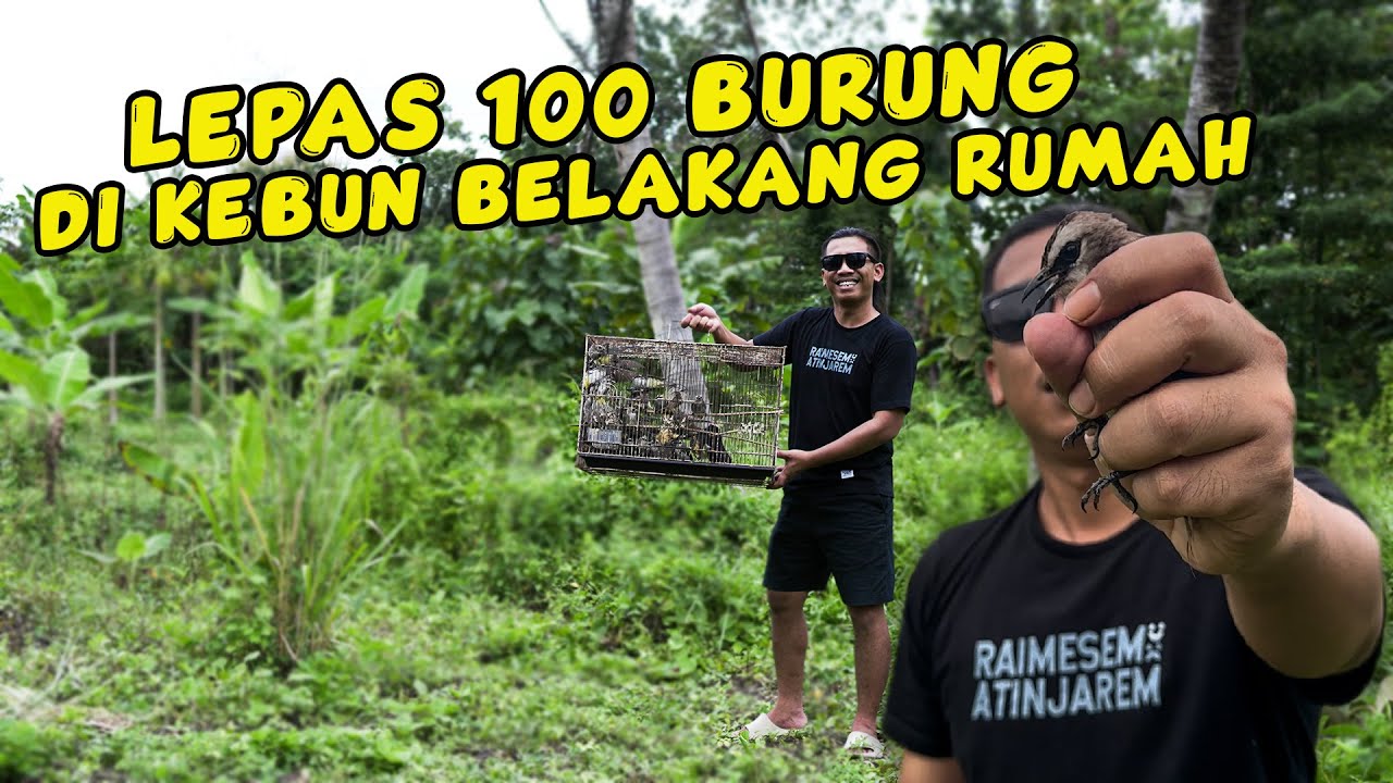 MOMEN LANGKA !!! MELEPAS LIARKAN BURUNG KICAU DI KEBUN - SALAM LESTARI