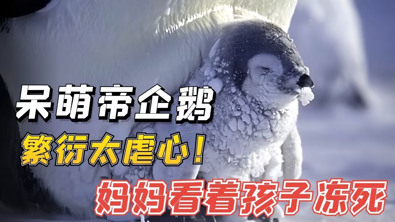 0 60 YouTube 0-60-youtube