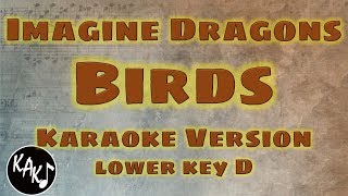 Imagine Dragons - Birds Karaoke Lyrics Instrumental Cover Lower Key D screenshot 5