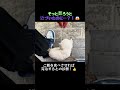 【奇跡】自転車旅の途中、草むらに葬ろうとした子犬が…??🚲🐶