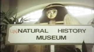 PG TIPS MONKEY ADVERT | UNNatural History Museum | UK TV COMMERCIAL
