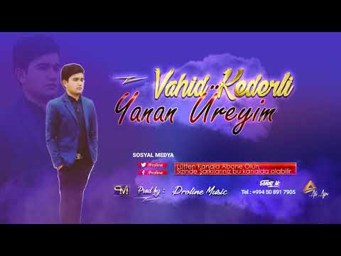 Vahid Kederli - Yanan Üreyim 2019 / Audio