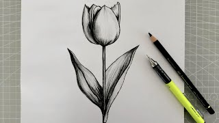 Easy flower drawing / Easy pencil drawing tutorial step by step! Easy drawing ideas