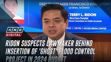 Ridon suspects lawmaker behind insertion of 