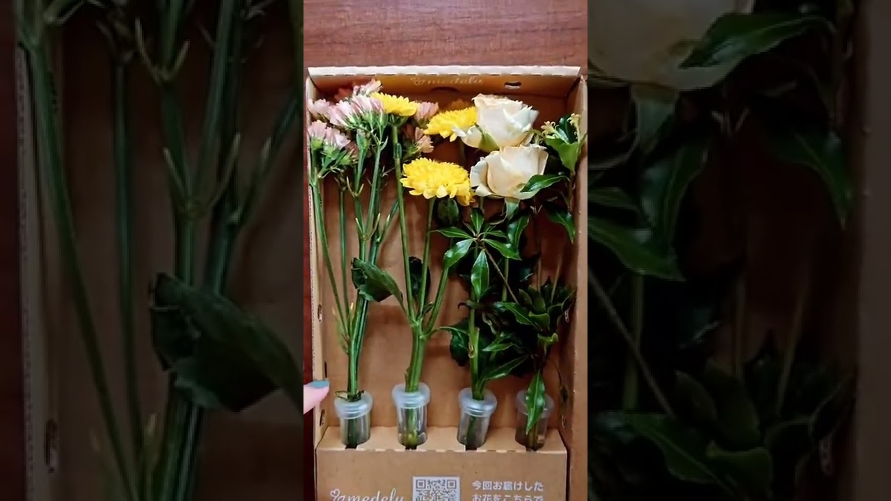 花サブスクmedelu メデル の新プランminiの中身は 22年4月最新 送料込み698円は高い 安い Youtube