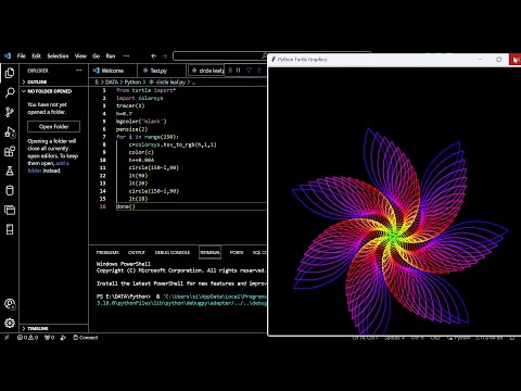 Python Turtle Graphics Animation - Amazing Flower