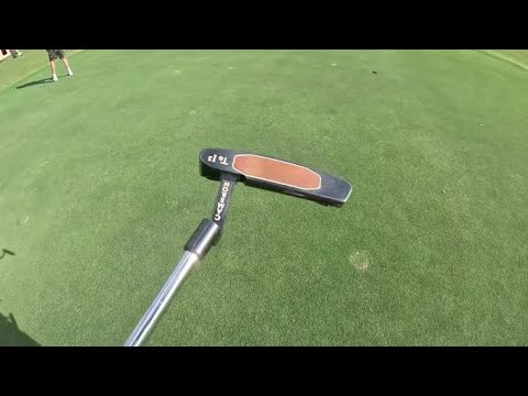 Scotty Cameron Teryllium Vs Ping PLD