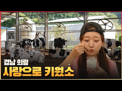 [6시 내고향-창원] 부자 기운 듬뿍! 산골 목장 (KBS 2024.10.01.화요일)