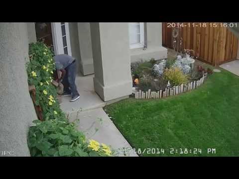 Highland- UPS Theft