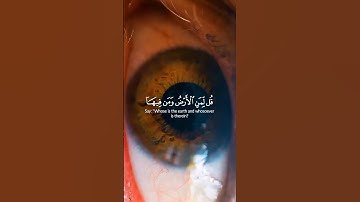 سورة المؤمنون الآية (83-89) | تلاوة خاشعة للقارئ/ ياسر الدوسري #قران_كريم #قران #ياسر_الدوسري #quran