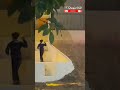 هجوم الذئب على شاب