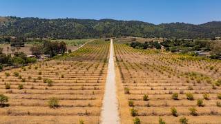 12400 Ojai Santa Paula Road, Ojai, CA 93023