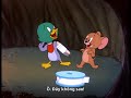 Tom và Jerry - Bác sĩ con vịt(The Duck Doctor, Viet sub)