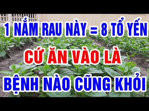 Video: 3 cách đơn giản để giữ sạch răng tuyệt vời