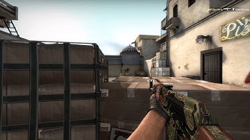 NiP Xizt vs EnVyUs - Short Highlight (1080p60fps)