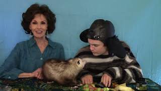 The Humanoid Opossum