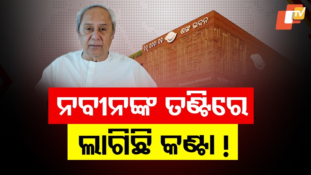 Who Will Naveen Patnaik Include in BJD's 81-Member Executive Team? Party Chief Yet to Decide