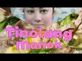 Tinolang Manok