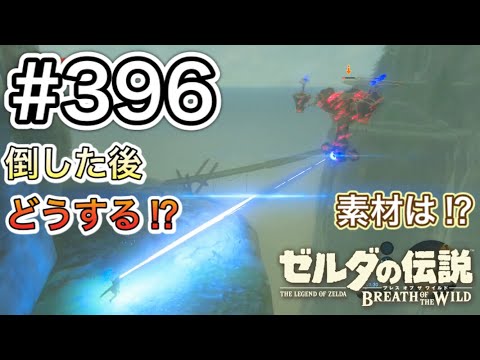 【#396】絶壁の離小島ナクルン島探索! からのガーディアン(飛行型)戦‼︎[ゼルダの伝説 ブレスオブザワイルド]
