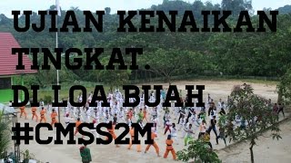 UKT Candra Mawa Sakti #LoaBuah